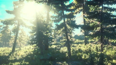 Green trees of the spruce forest Vídeos de archivo 166208634