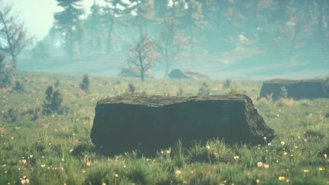 Green trees of the spruce forest Vídeos de archivo 166208652