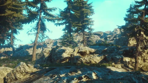 Green trees of the spruce forest Видео 169744155