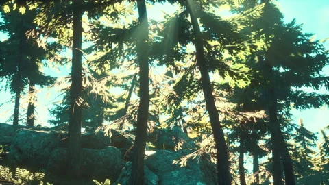 Green trees of the spruce forest 動画素材 173816629