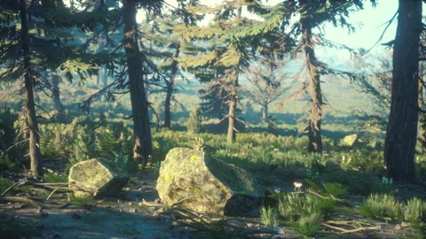 Green trees of the spruce forest 動画素材 179987145