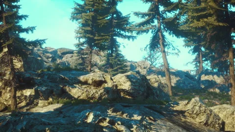 Green trees of the spruce forest Stock-Footage 246173622