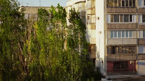 Green trees stagger from the wind Vidéo 131468940