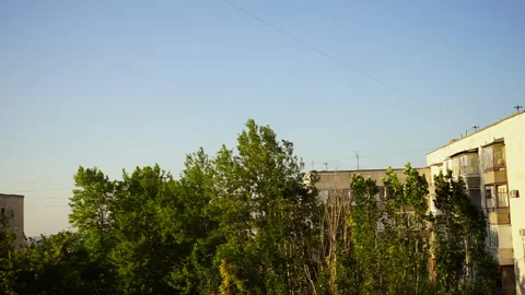 Green trees stagger from the wind, the sound of the wind Vidéo 131469154