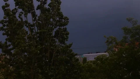 Green trees sway in the wind against the background of a grove cloud and residen Видео 130890440