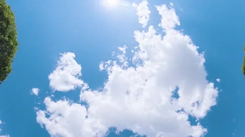 Green Trees Under Beautiful Clouds Stock Footage 279250595