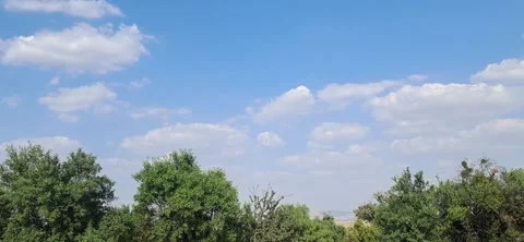Green Trees Under Blue Sky 動画素材 342346640