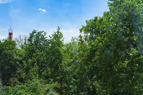 Green Trees under Blue Sky with Clouds Fotos de archivo