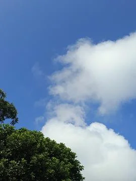 Green Trees Under Blue Sky And White Clouds Nature Photography Landscape Ph Stock Photos