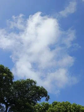 Green Trees Under Blue Sky And White Clouds Nature Photography Landscape Ph Stock Photos