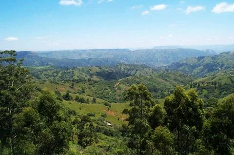 The green trees view from the high place and the blue sky view Stock Photos