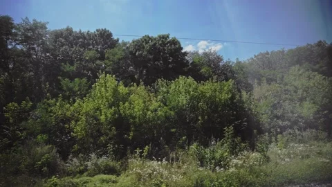 Green trees from the window of a speeding train. Travel by train. Landscape Stock-Footage 149241593