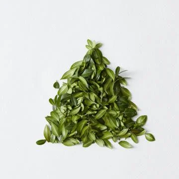 Green triangle over white Stock Photos