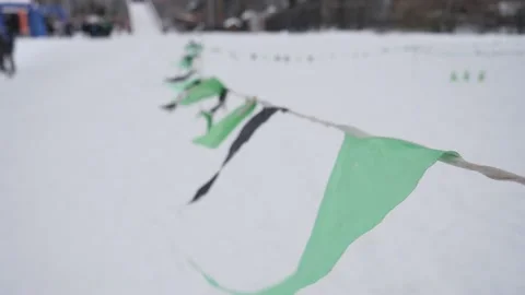 Green triangular flags Stock Footage 229556390