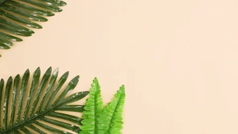 Green tropic leaves appear on left side Stop motion flat lay Stock Footage 151937814