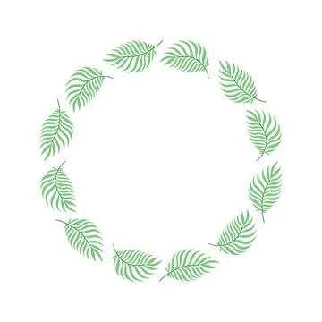 Green tropical feather palm leaf wreath frame isolated on white, botanical Ilustração Stock