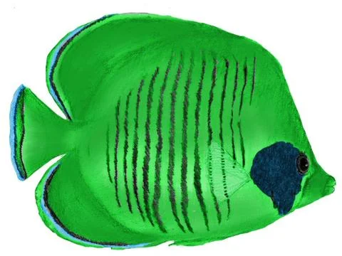 Green Tropical Fish Stock Illustration