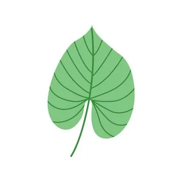 Green tropical leaf in flat vector style. Perfect for eco design, botanical Stock Illustration