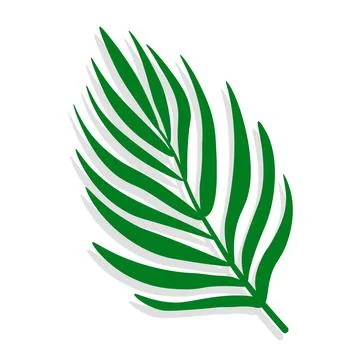 Green tropical leaf of palm tree with shadow. Simple vector illustration Stock Illustration