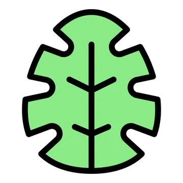 Green tropical leaf showing central vein and lobed edges Stock Illustration