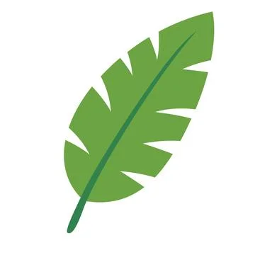 Green Tropical Leaf Vector Illustration Stock Illustration
