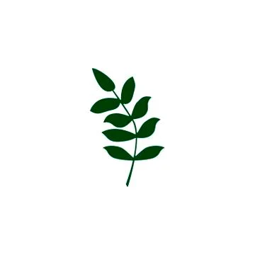 Green tropical leaf on white background for decoration design Stock Illustration