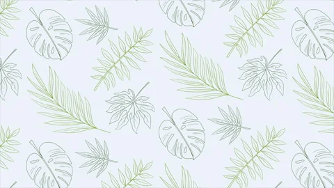 Green tropical leaves background pattern Stock Footage 241210113