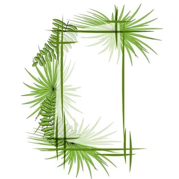 Green tropical leaves with frame. Vector illustration. eps 10. Stock Illustration
