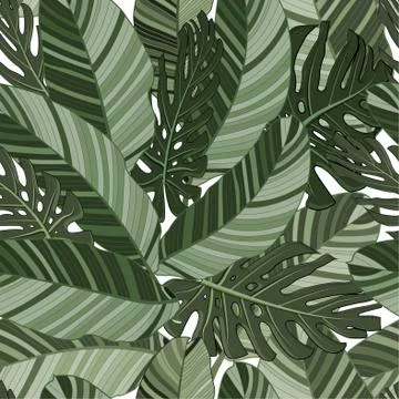 Green tropical leaves seamless pattern. Vector Stock Illustration