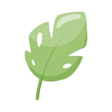 Green Tropical Monstera Leaf Flat Clipart Иллюстрация