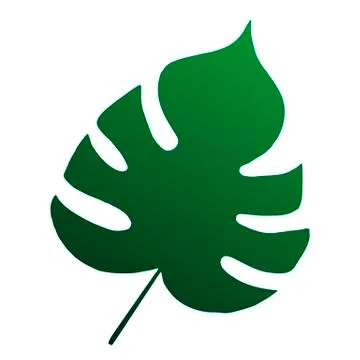 Green tropical monstera leaf. Stock Illustration