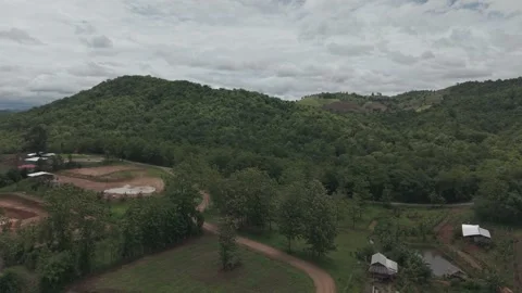Green Tropical Tree Canopy From Above With Overcast Rainy Season Sky, Aeria.. Stock-Footage 337011240