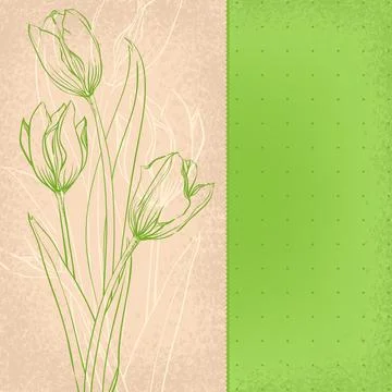 Green tulips Ilustración de archivo