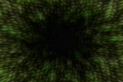 Green Tunnel Stock Footage 112388