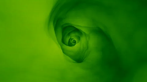 Green Tunnel Stock Footage 536007