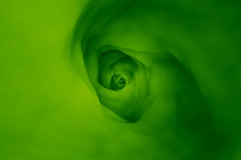 Green Tunnel Stock Footage 537421