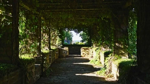 Green tunnel Stock Footage 94660724