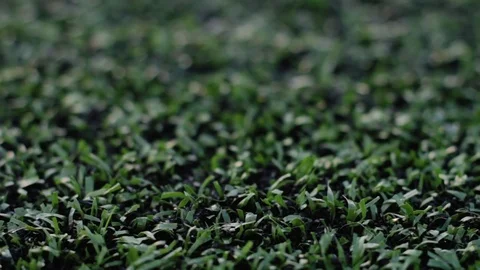 Green Turf Field Macro Stock-Footage 73775412