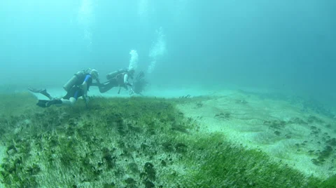 Green turtle and divers in the caribbean Stock Footage 35653187