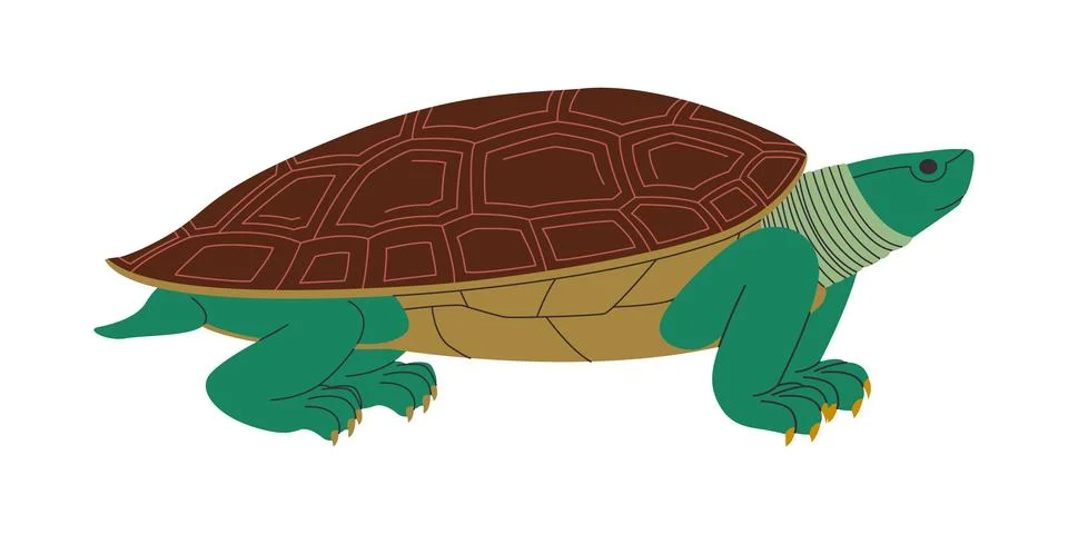 Green turtle with brown shell wild nature omnivorous animal and slow walk rep Stock Illustration