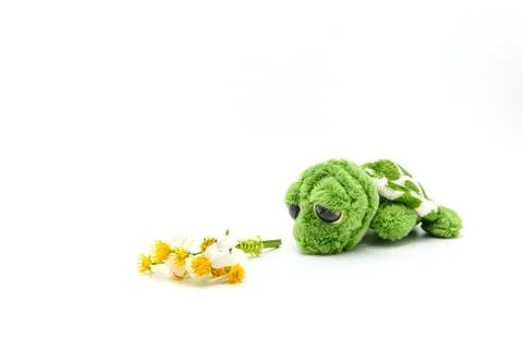 Green turtle doll with in loved emotion isolated on white Stock Photos