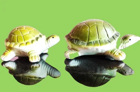 A green turtle with a green background. Stock Photos