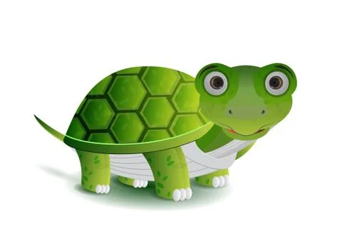 Green turtle illustration Stock Illustration