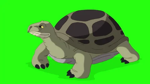 Green turtle peeks out of its shell and hides back chroma key 動画素材 145180636
