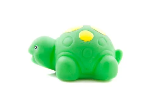 Green turtle Stock Photos