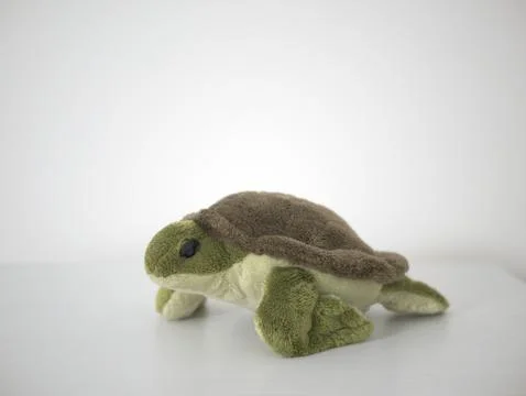 Green turtle (plush) Foto stock