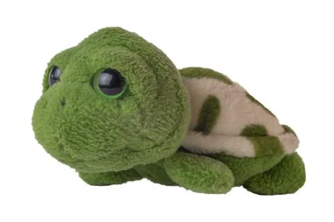 Green turtle soft toy close-up isolated on white background Stock Photos