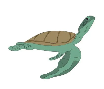 Green turtle swim drawing, vector Stockillustratie
