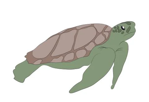 Green turtle swim drawing, vector Stockillustratie