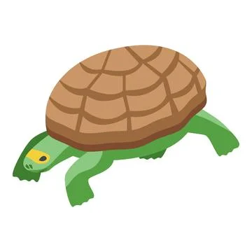 Green turtle walking with brown shell in isometric view Illustrazione stock